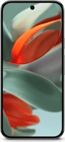 Google Pixel 9 Pro image 2