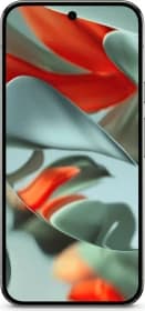 Google Pixel 9 Pro XL image 3