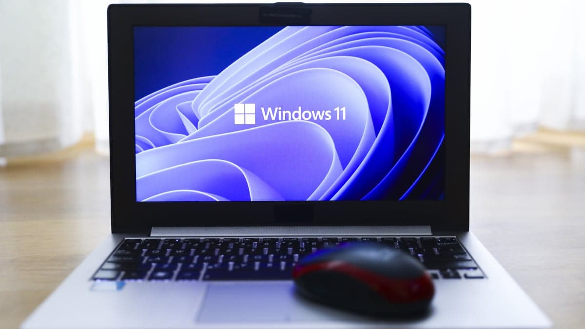 Windows 11 emergency update: Microsoft races to fix bugs - Mashable