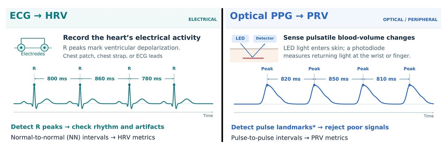 The Big Holes in Wearable Heart Rate Variability And Readiness Scores - Ground Truths | Eric Topol image 3