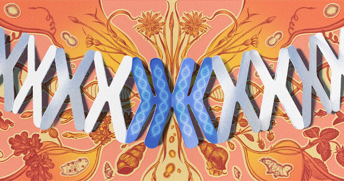 Genome Duplication Is a Radical Evolutionary Gamble - Quanta Magazine