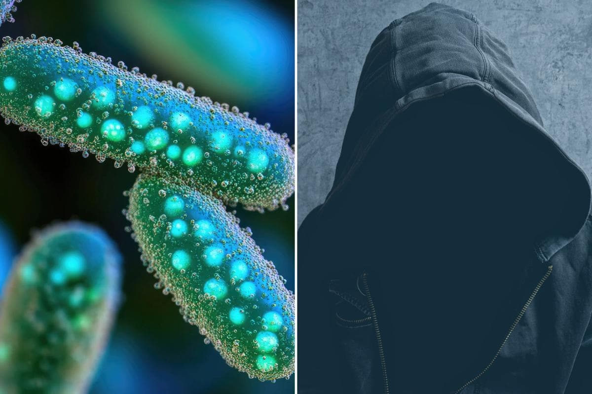 ‘Measurable biological footprint’: Study points to surprising source of psychopathic traits - New York Post