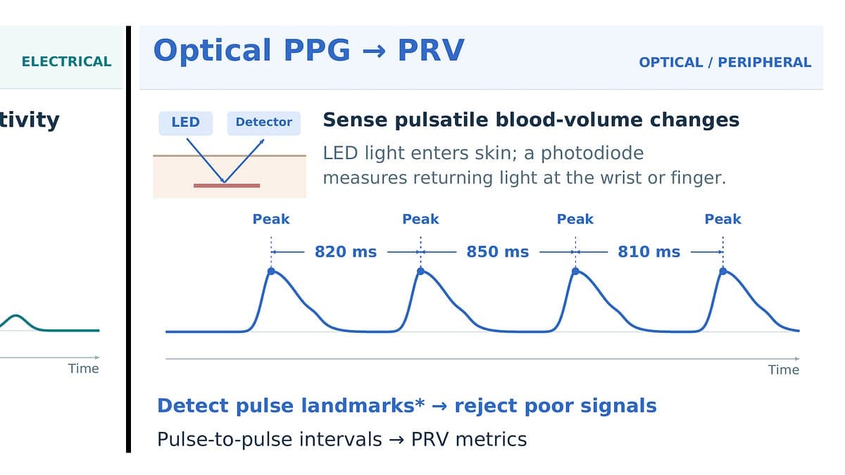 The Big Holes in Wearable Heart Rate Variability And Readiness Scores - Ground Truths | Eric Topol