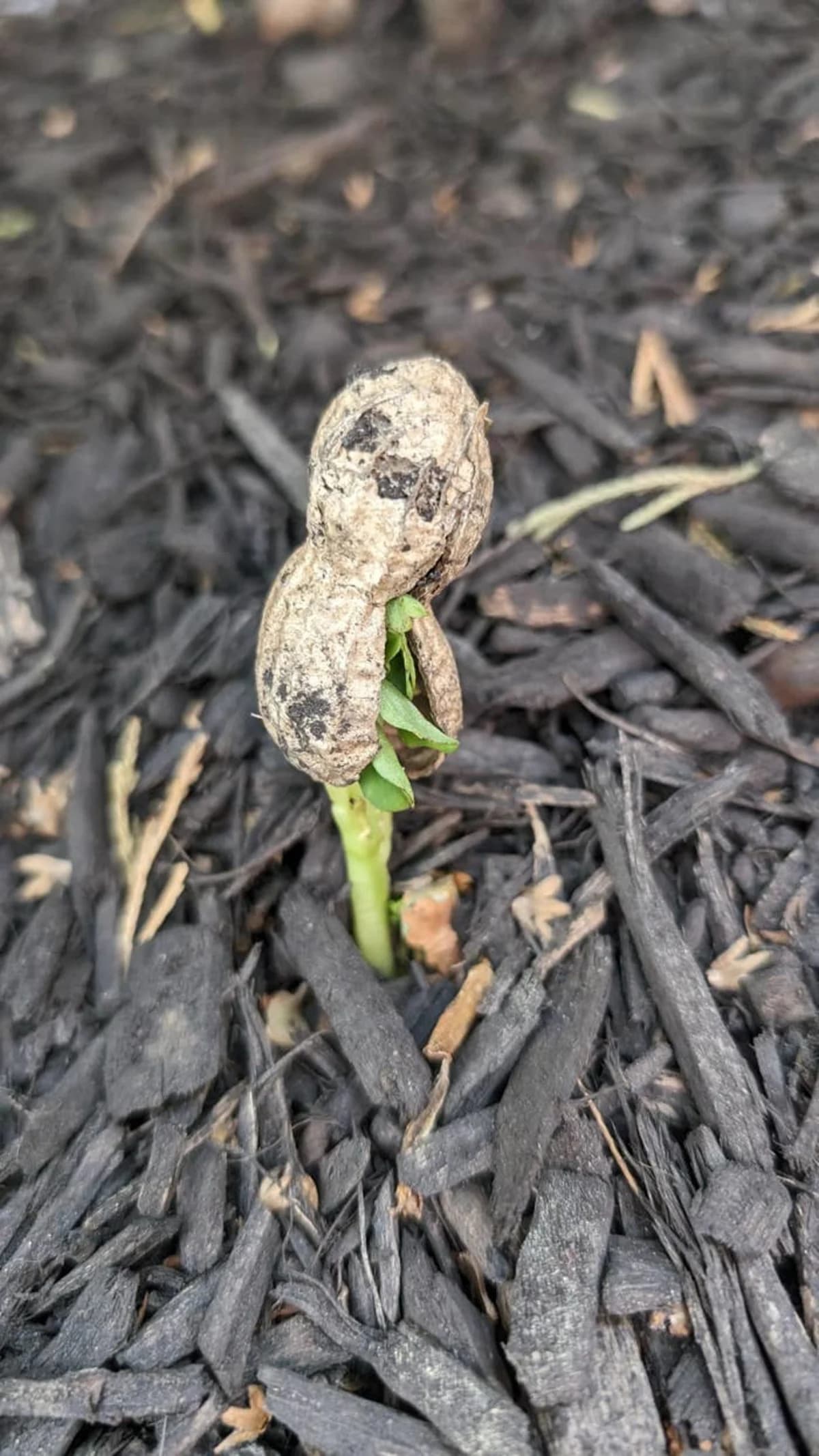 My Mind Got Blown After Seeing These 25 Incredible Pictures For The First Time - Yahoo