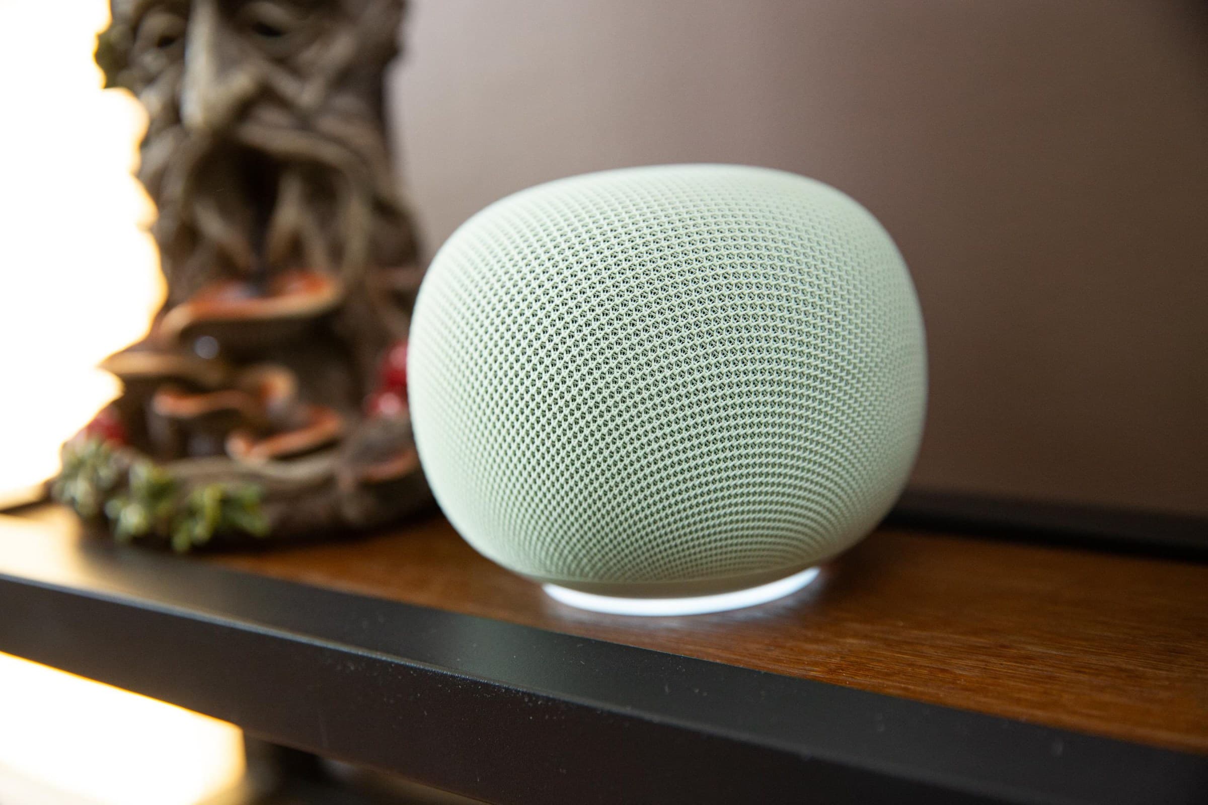 Some Google Home Speakers caught downloading hundreds of gigs of data - The Verge image 3