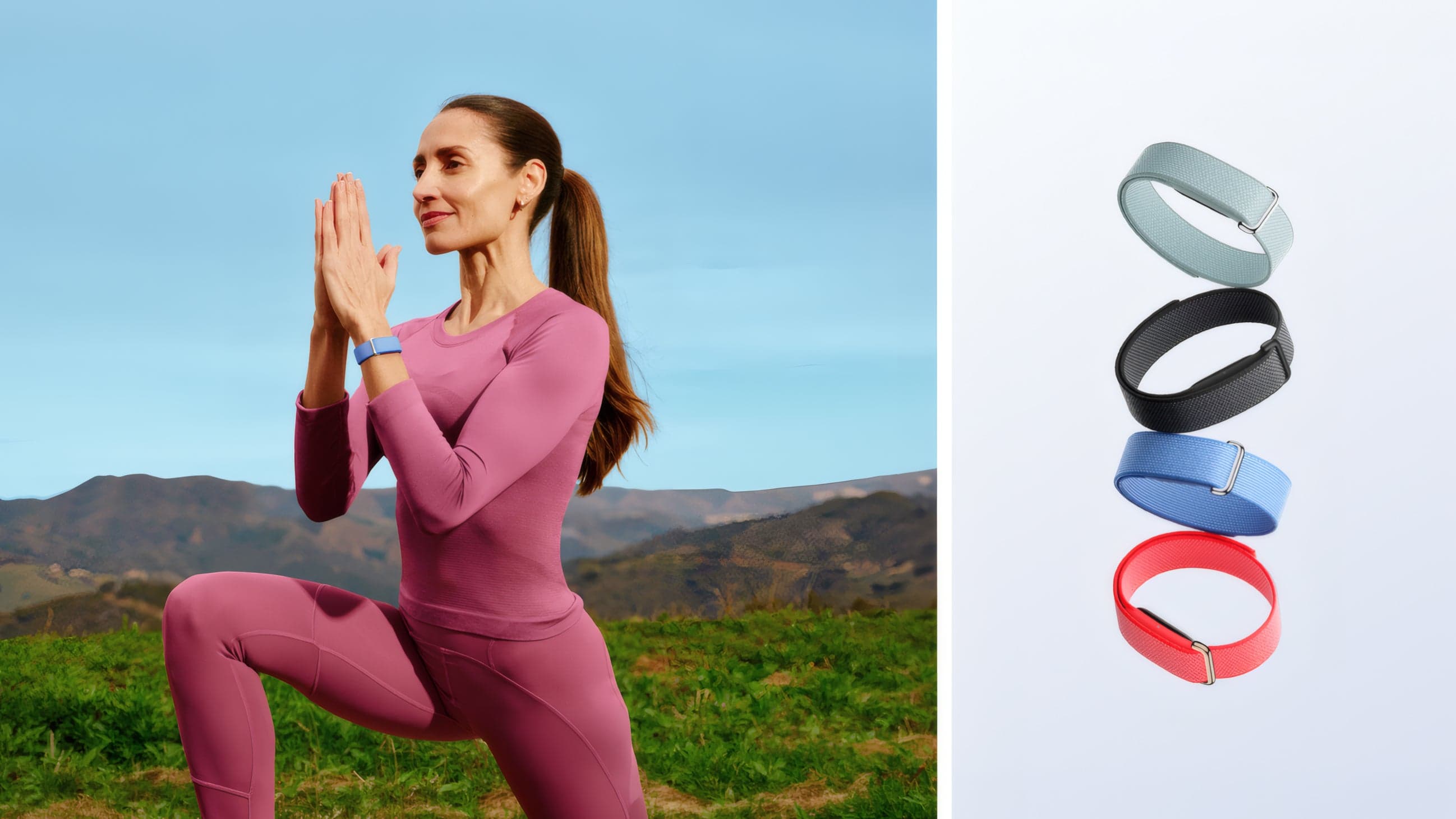 Google has reduced the Fitbit Air's effective price without changing its official cost.